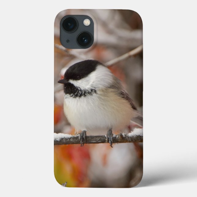 Adult Black-capped Chickadee in Snow Case-Mate iPhone Case (Back)