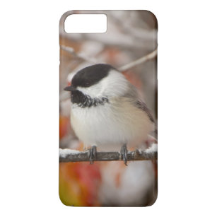 Adult Black-capped Chickadee in Snow, Grand Case-Mate iPhone Case