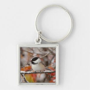 Adult Black-capped Chickadee in Snow Key Ring