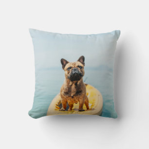 Adult brown French bulldog standing on kayak Cushion
