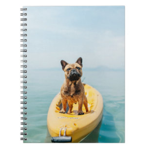 Adult brown French bulldog standing on kayak Notebook