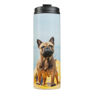 Adult brown French bulldog standing on kayak Thermal Tumbler