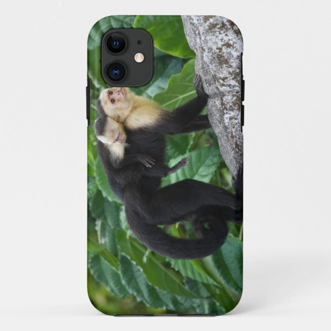 Adult Capuchin Monkey Carrying Baby On Its Back Case-Mate iPhone Case (Back)