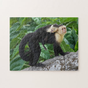 Adult Capuchin Monkey Carrying Baby On Its Back Jigsaw Puzzle