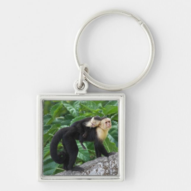 Adult Capuchin Monkey Carrying Baby On Its Back Key Ring (Front)