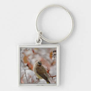 Adult Cedar Waxwing on hawthorn with snow, Key Ring
