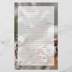 Adult Cedar Waxwing on hawthorn with snow Stationery