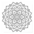 Adult Colouring Mandala Poster