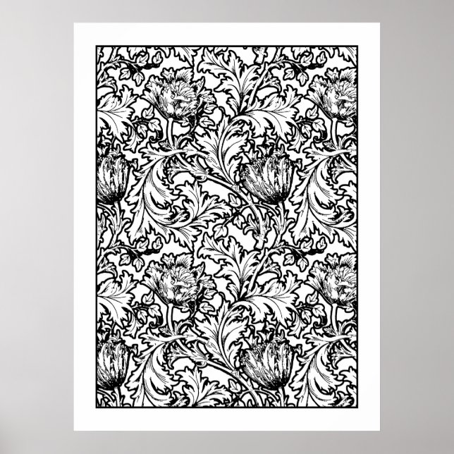 Adult Colouring Poster William Morris Anemone  (Front)