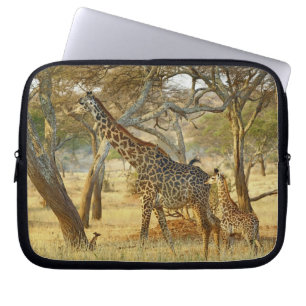 Adult female and juvenile Giraffe, Giraffa Laptop Sleeve
