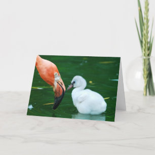 Adult Flamingo and chick Greeting Card. Card