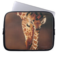 Adult Giraffe with calf (Giraffa camelopardalis)