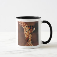 Adult Giraffe with calf (Giraffa camelopardalis)