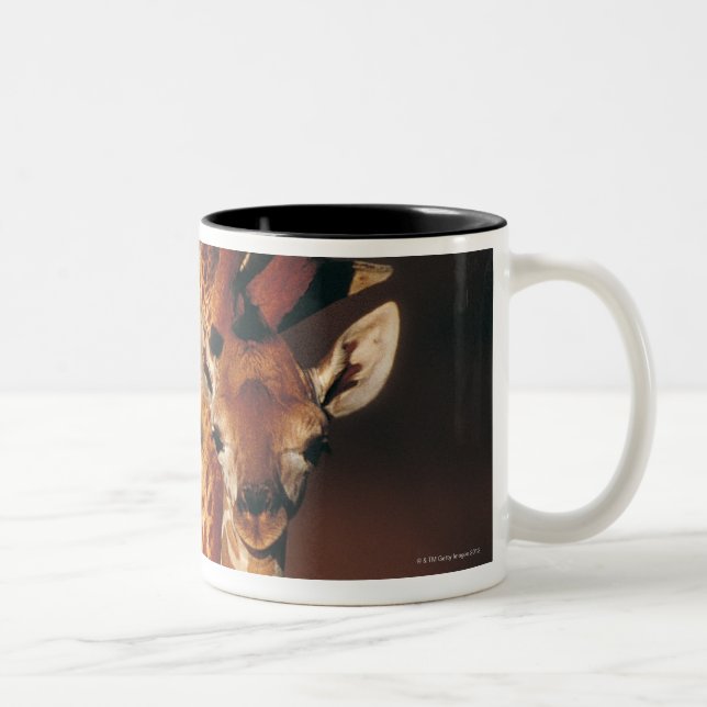 Adult Giraffe with calf (Giraffa camelopardalis) Two-Tone Coffee Mug (Right)