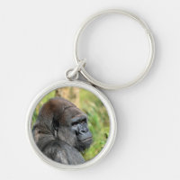 Adult Gorilla