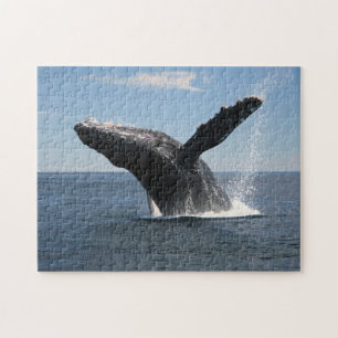 Adult Humpback Whale Breaching Jigsaw Puzzle