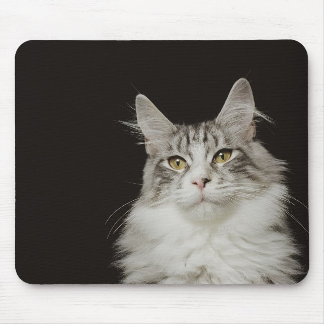 Adult Maine Coon Cat Mouse Pad (Front)