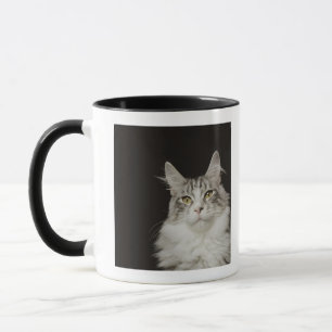 Adult Maine Coon Cat Mug
