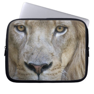 Adult male lion at the Sacramento Zoo, CA Laptop Sleeve