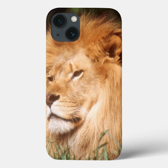 Adult male Lion Case-Mate iPhone Case (Back)