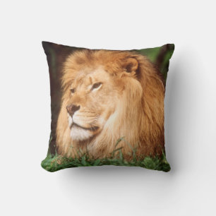 Adult male Lion Cushion