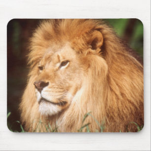 Adult male Lion Mouse Pad