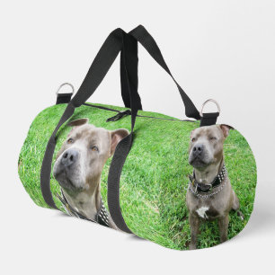 Adult Male Staffordshire Bull Terrier Sitting, Duffle Bag