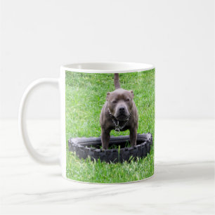 Adult Male Staffordshire Terrier Ready To Play, Coffee Mug