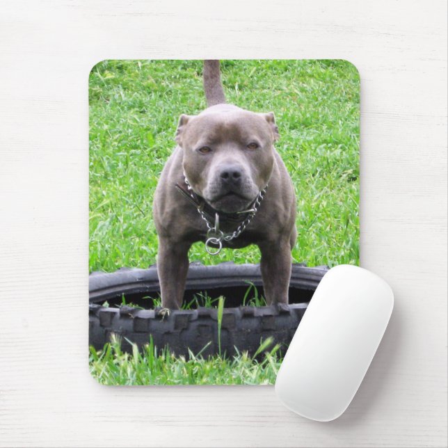 Adult Male Staffordshire Terrier Ready To Play, Mouse Pad (With Mouse)