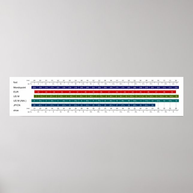 Adult Men's Shoe Size Comparison Chart (Front)