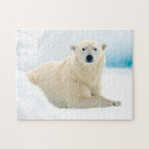 Adult polar bear large boar on the summer ice jigsaw puzzle
