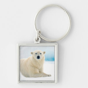Adult polar bear large boar on the summer ice key ring