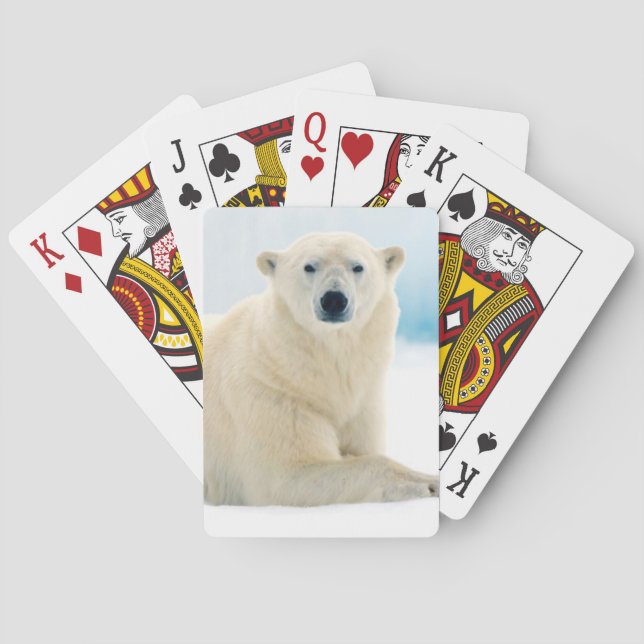 Adult polar bear large boar on the summer ice playing cards (Back)