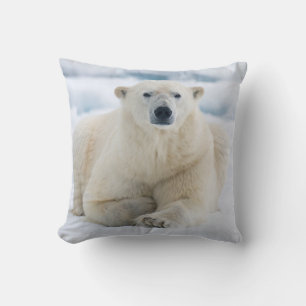 Adult polar bear on the summer pack ice cushion