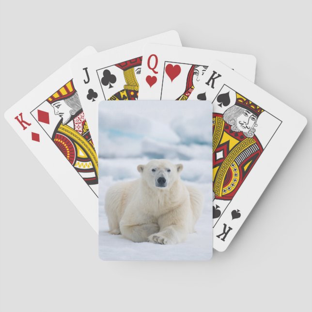 Adult polar bear on the summer pack ice playing cards (Back)