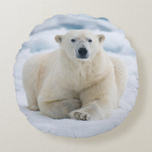 Adult polar bear on the summer pack ice round cushion