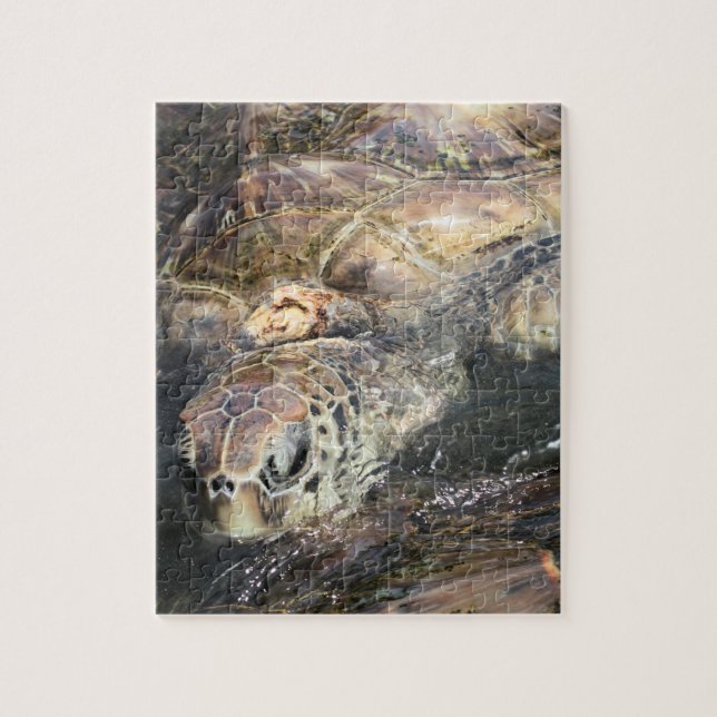 Adult Sea Turtle Jigsaw Puzzle (Vertical)