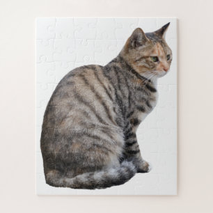Adult Tabby Cat Jigsaw Puzzle