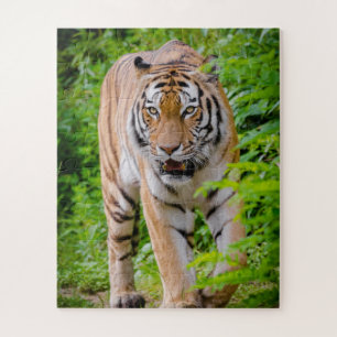 Adult Tiger Prowling Among Bright Green Leaves Jigsaw Puzzle