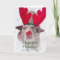 Adult Weimaraner dog wearing red antler headband
