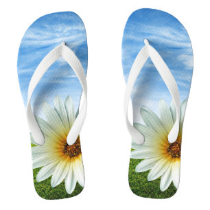 Adult, Wide Strap Flip Flops/Daisy Thongs