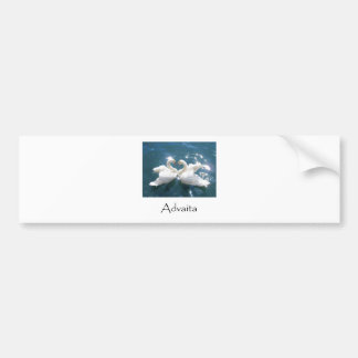 Advaita Swans Bumper Sticker