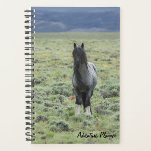Adventure Planner