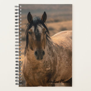 Adventure Planner w/ Sir Behr