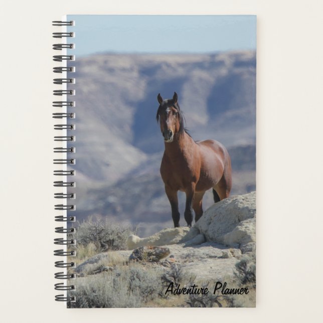 Adventure Planner w/ wild stallion (Front)