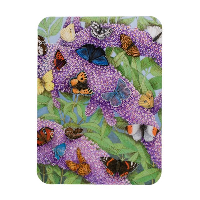 Adventuring 2011 magnet (Vertical)