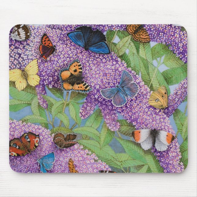 Adventuring 2011 mouse pad (Front)