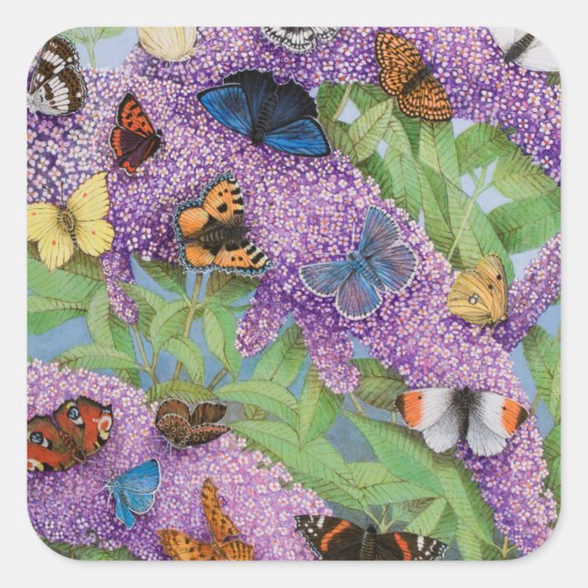 Adventuring 2011 square sticker (Front)