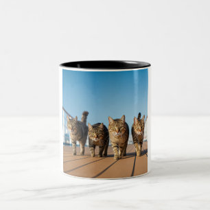 Adventurous Cat Cruise Mug
