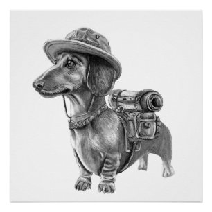 Adventurous dachshund poster